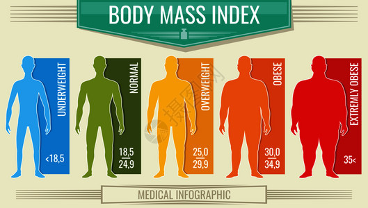 体重指数人病媒身体健康指数bmi图表带有男轮长和比例背景图片
