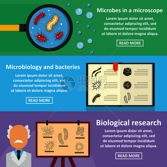 3个细菌媒横幅概念用于网络细菌横的幅概念集平板风格图片
