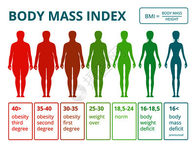 从脂肪到身体健康妇女的重指数妇女病媒质量医疗人口分布图包括女身体质量指数的插图从脂肪到身体健康妇女的比例背景图片