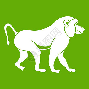 猴子矢量绿色背景上孤立的日本马卡克图标白矢量说明日本马卡克图标绿色背景