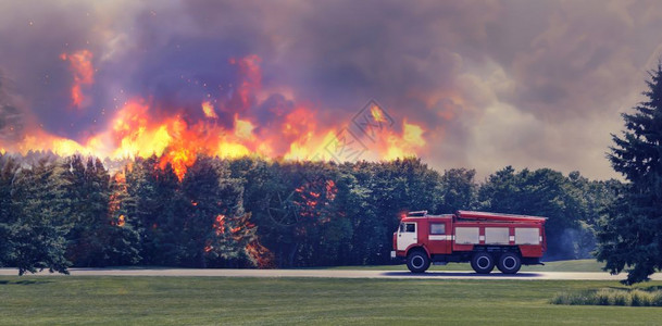 消防引擎急于扑灭森林中的火灾图片