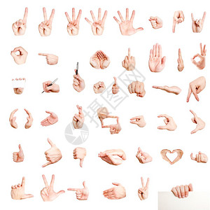 不同的手白色上隔离的许多不同手牌符号背景