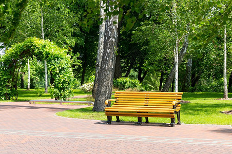 公园和砖道中的木板凳当地公园中的板凳图片