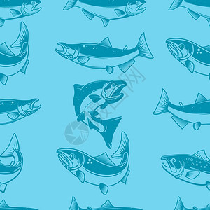 手绘鱼类鲑鱼鳟鱼背景图图片