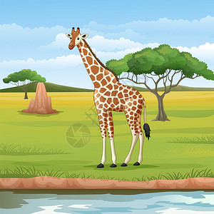 稀树草原的卡通长颈鹿图片