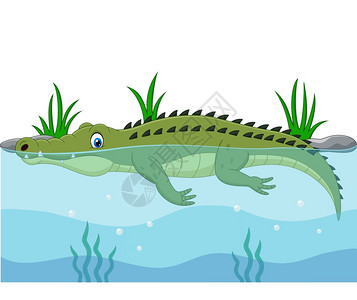 卡通绿色鳄鱼在河中游泳背景图片