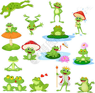 有趣的青蛙集图片