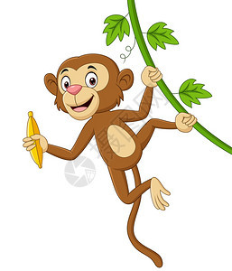 手拿香蕉的猴子图片