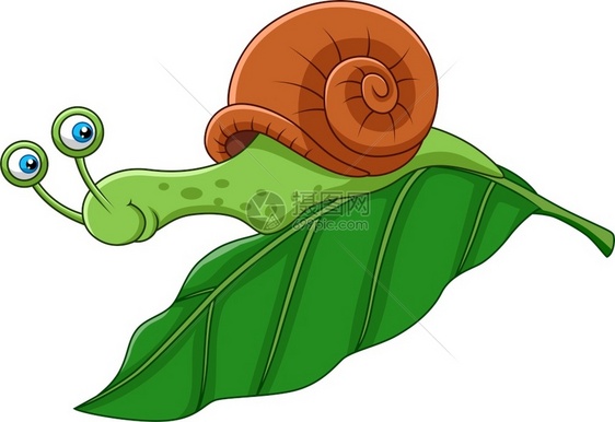 叶子上的蜗牛图片