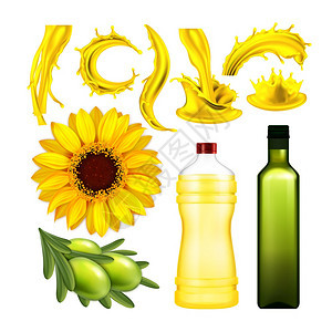 油瓶和不同喷洒物有机生浆果和叶子及种天然产品布局符合实际的3d插图橄榄和葵花油收集物背景图片
