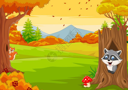 秋天森林中卡通浣熊和松鼠图片
