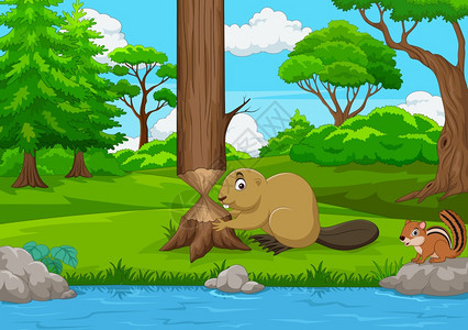 在森林里砍树的卡通海狸图片