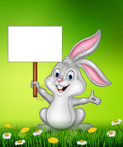 拿手举牌的兔子插画