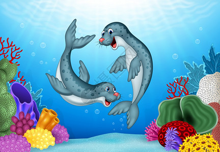 水底的卡通海豹图片