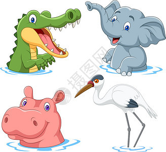 水中的卡通动物大象鳄鱼河马背景图片