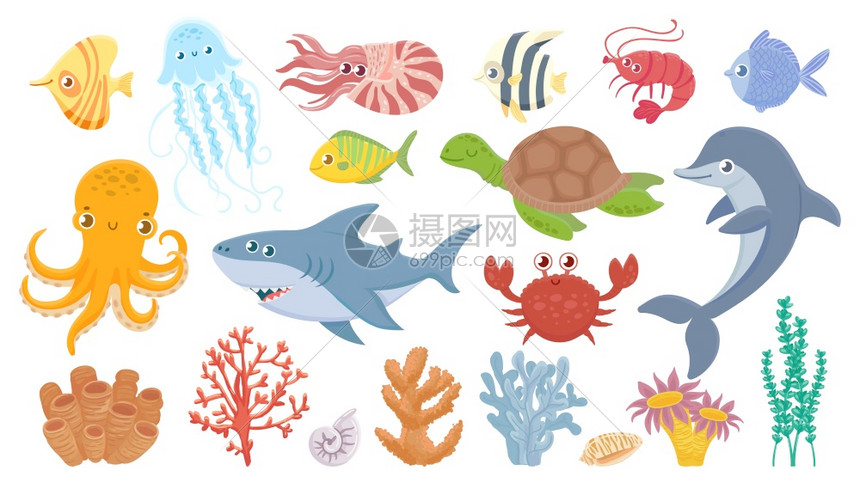 卡通海洋生物可爱鱼类水生珊瑚母和章鱼有趣的鲨和海豚洋蟹龟和虾矢量