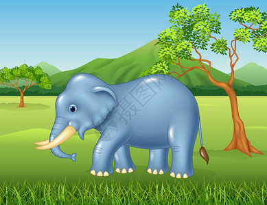 丛林中的非洲大象图片