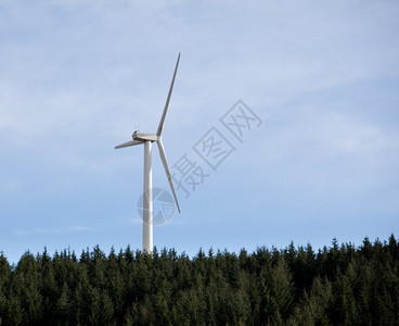 树线上对着蓝色天空升起的大型风力电动涡轮机图片