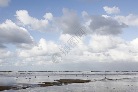 海鸥在浪附近休息云层反射在潮湿的海滩上图片