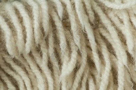 白羊毛纤维闭合图片