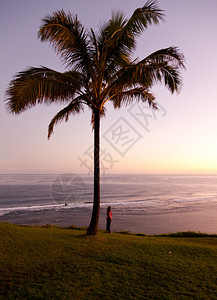 与女孩一道日出棕榈树望向远处图片素材