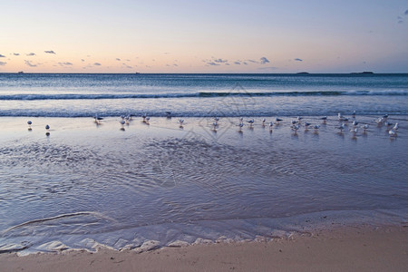 日出时双长的宁静海滩高清图片