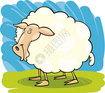 农场羊的漫画插图图片