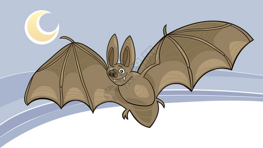 吸血鬼蝙蝠飞行的漫画插图背景图片