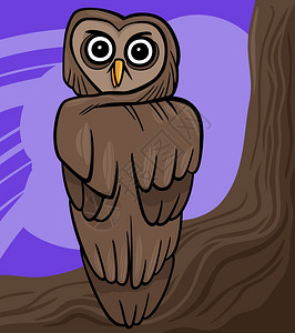 树上猫头鹰的漫画插图图片