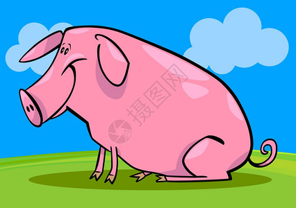 可爱粉色农场猪漫画插图图片