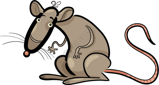 老鼠动物格的幽默漫画插图图片