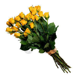 花束黄玫瑰朵图片