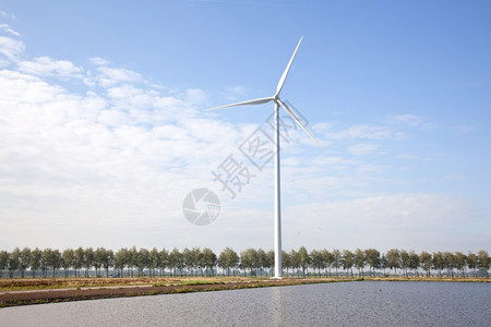 湖边的风力涡轮机和Holand的一排树木图片