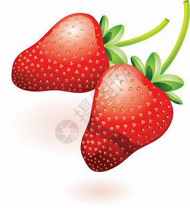 两个成熟的草莓图片