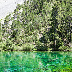 绿湖高山因当地海草而染有氟色的高山湖图片