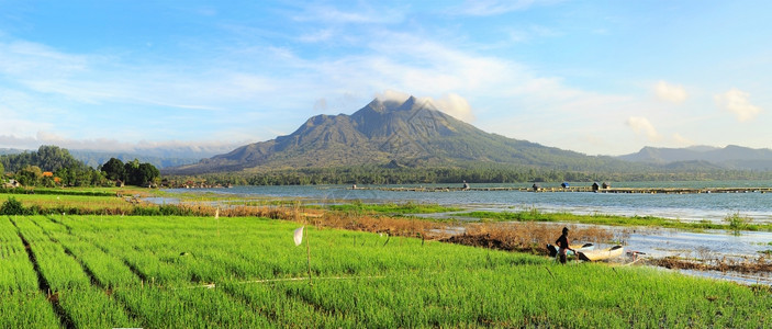 日出时有洋葱田湖和火山堡图片