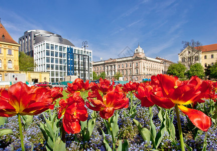 萨格勒布多彩植物和建筑马歇尔蒂托广场图片