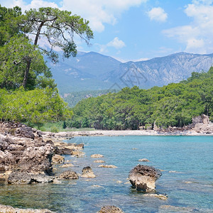 海湾山峰和光滑的海岸图片