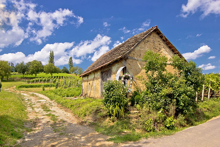 Prigoje地区葡萄园和泥土造小屋croati图片