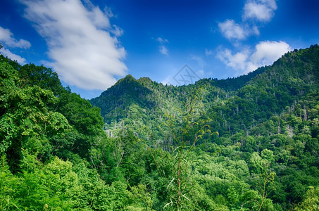 烟囱高在山顶烟雾浓密的山坡上图片