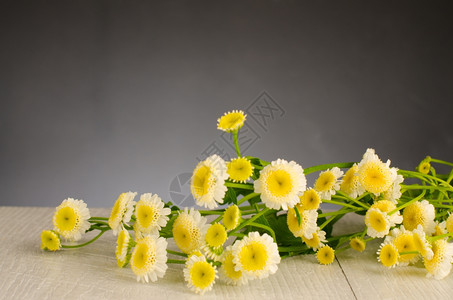 木板上的黄色小菊花背景图片