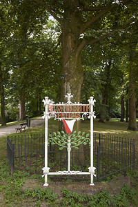 在乌得勒支比吉lepelenburgenzonnenburg的bevrijdingsboom在hetmuseumkwartier图片