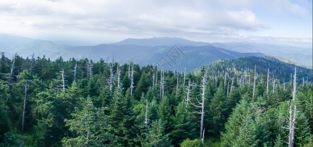 位于坦尼斯岛gatlinburg附近的大片有烟山公园图片