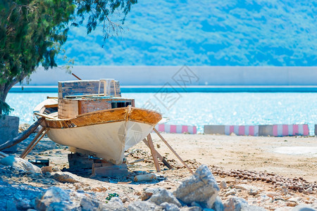 禁赛一年！马来西亚违规归化球员霍尔加多被美洲俱乐部解约