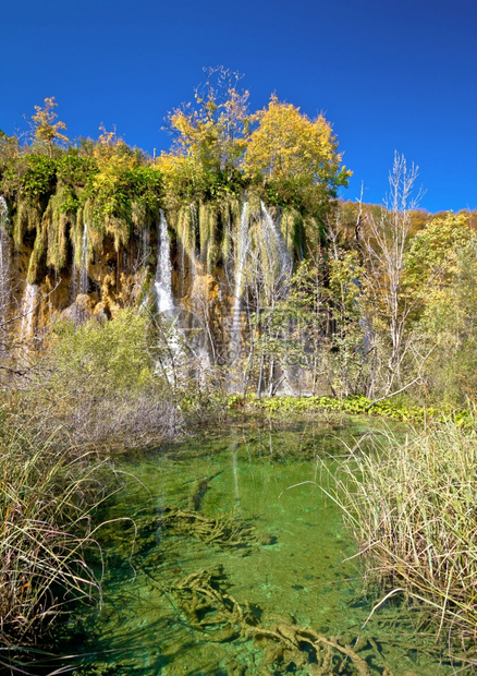 在克罗阿提亚公园的水瀑布下绿湖图片