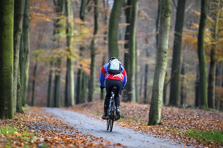 男人骑自行车在秋天的森林里图片