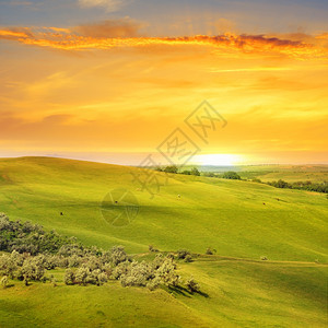 风景田山丘和日出图片
