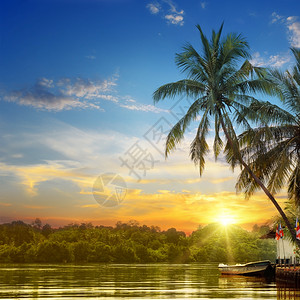 河流美丽的日出和热带棕榈图片