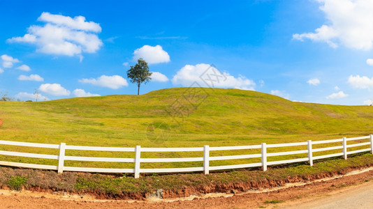 绿色山丘夏季风景全图片