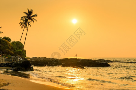 橙色调的美丽热带景观背景图片